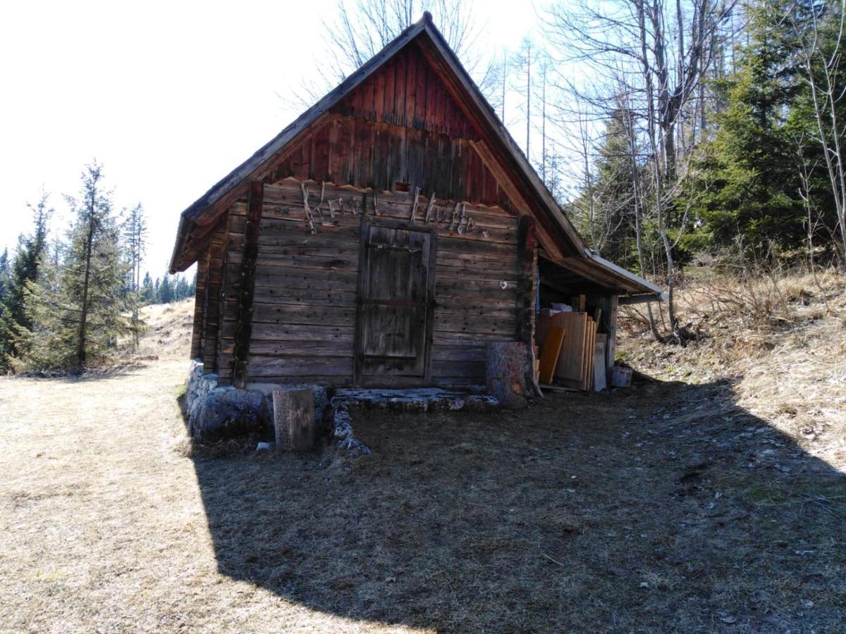 Ferienhaus Bauer Trattenbach  Exteriör bild