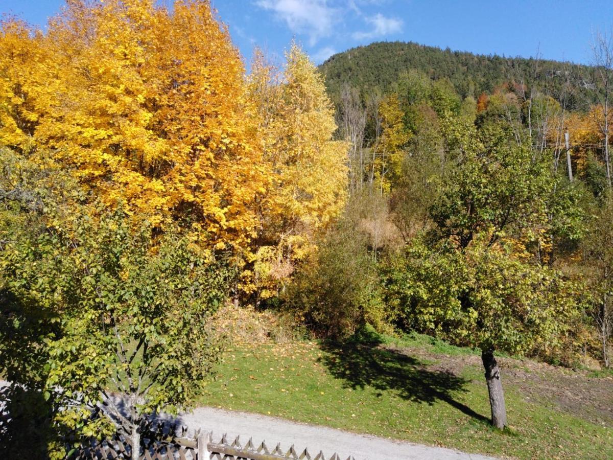 Ferienhaus Bauer Trattenbach  Exteriör bild